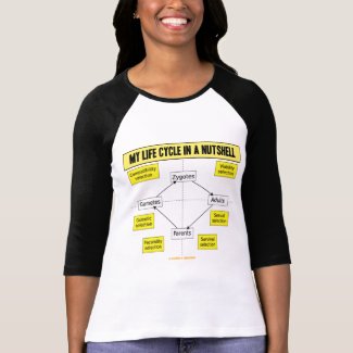 My Life Cycle In A Nutshell (Biological Attitude) shirt
