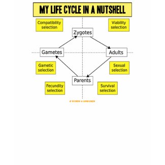 My Life Cycle In A Nutshell (Biological Attitude) shirt