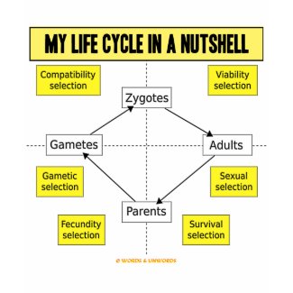 My Life Cycle In A Nutshell (Biological Attitude) shirt