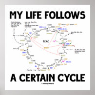 My Life Follows A Certain Cycle (Krebs Cycle) Poster