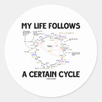 My Life Follows A Certain Cycle (Krebs Cycle) Round Sticker