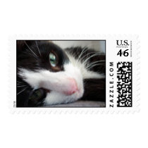 My Life is Hard, S Cyr postage by CyrScenes My Life is Hard, S Cyr postage