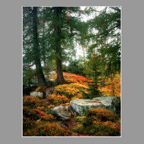 MY LIFE IS NOT THIS VERTICAL HOUR postcards
