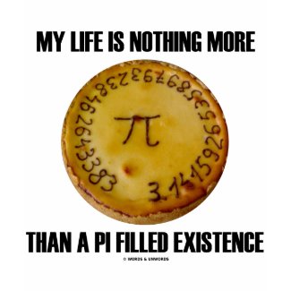 My Life Is Nothing More Than A Pi Filled Existence shirt