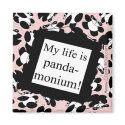 My life is panda-monium magnets