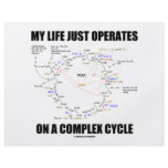 My Life Just Operates On A Complex Cycle (Krebs) Full Color Flyer