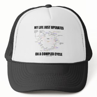 My Life Just Operates On A Complex Cycle (Krebs) hat