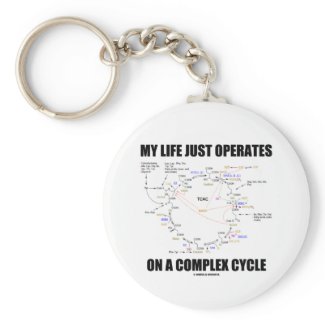My Life Just Operates On A Complex Cycle (Krebs) keychain
