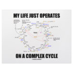 My Life Just Operates On A Complex Cycle (Krebs) Letterhead Template