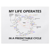 My Life Operates In A Predictable Cycle (Krebs) Full Color Flyer