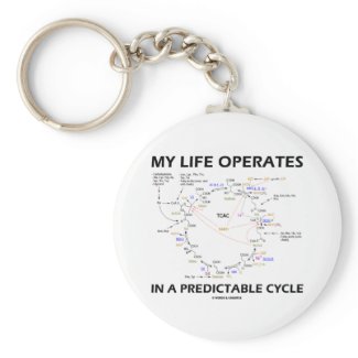 My Life Operates In A Predictable Cycle (Krebs) Key Chains