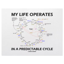 My Life Operates In A Predictable Cycle (Krebs) Custom Letterhead