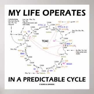 My Life Operates In A Predictable Cycle (Krebs) Poster