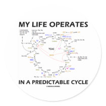 My Life Operates In A Predictable Cycle (Krebs) Round Sticker