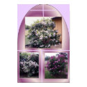 MY LILAC BUSHES posters
