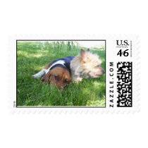 My Little Brats postage