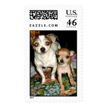 my little Buddy postage