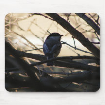 My Little Chickadee Mouse Pad
