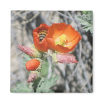 My Little Honey Bee magnets