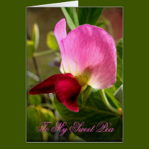 My Little Sweet Pea cards