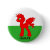 My Little Welsh Button