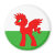 My Little Welsh Magnet