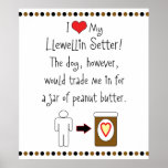 My Llewellin Setter Loves Peanut Butter Print