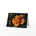 My Love cards by SweetRascal My Love cards