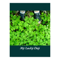 My Lucky Day posters