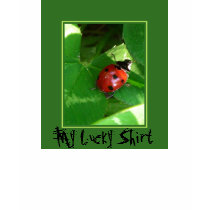 My Lucky Shirt by Rainmountain My Lucky Shirt