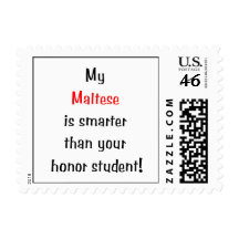 My Maltese is smarter... Postage Stamps