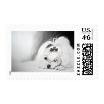 My Maltese Stamp