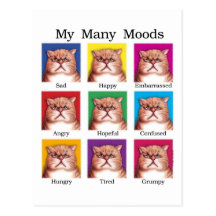 My Many Moods Postcard