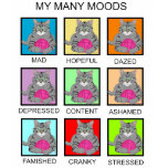 MY MANY MOODS TEE SHIRTS