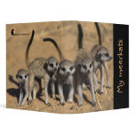 My Meerkats Binder