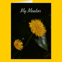 My Mentor cards