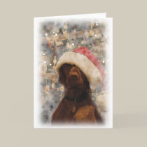 My Merry Christmas Vizsla cards
