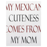 My Mexican Cuteness Comes From My Mom Customized Letterhead