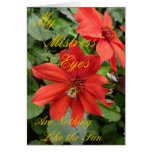My Mistress Eyes Red Dahlia Card