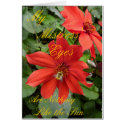 My Mistress Eyes Red Dahlia Card card