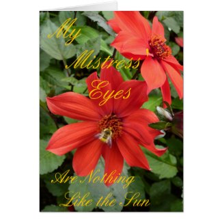 My Mistress Eyes Red Dahlia Card card