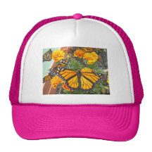 My Monarch Butterflies-hat