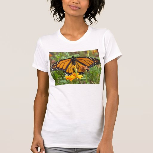 monarch print shirt
