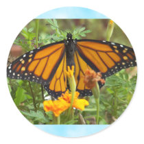 My Monarch Butterfly-sticker by artdebogallery My Monarch Butterfly-sticker