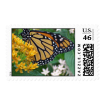 My Monarch postage by Butterfly2008 My Monarch postage