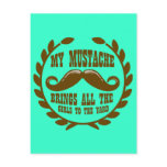 My Mustache Brings all the Girls to the Yard