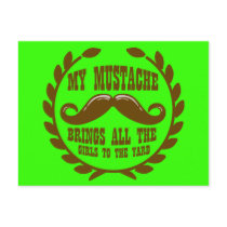 My Mustache Brings all the Girls to the Yard Post Card