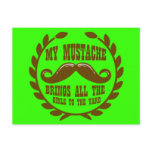 My Mustache Brings all the Girls to the Yard