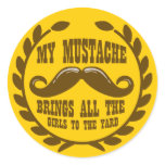 My Mustache Brings all the Girls to the Yard