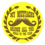 My Mustache Brings all the Girls to the Yard